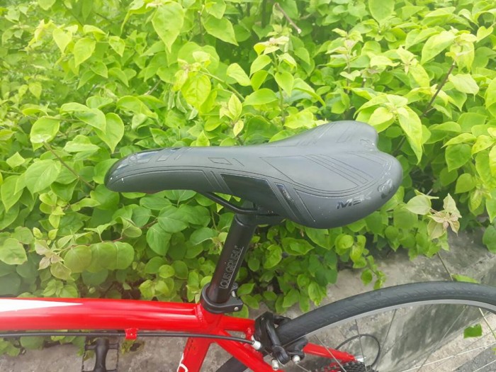 Road WILIER triestina italia .xe bãi nhật