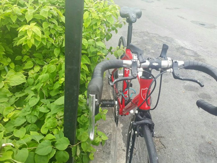 Road WILIER triestina italia .xe bãi nhật