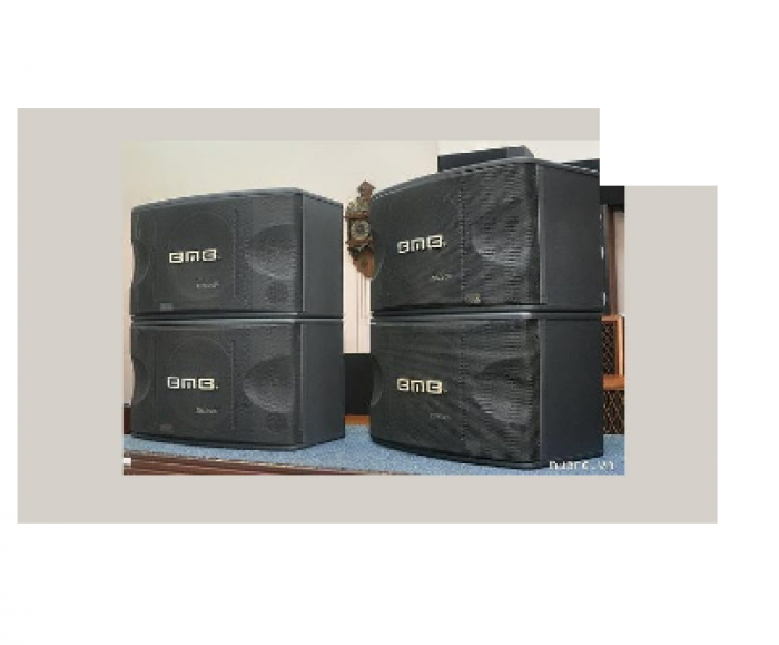 bmb cs 450v