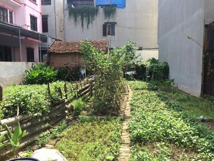 Bán đất tổ đân phố Trung Kiên – Dương Nội,34m2