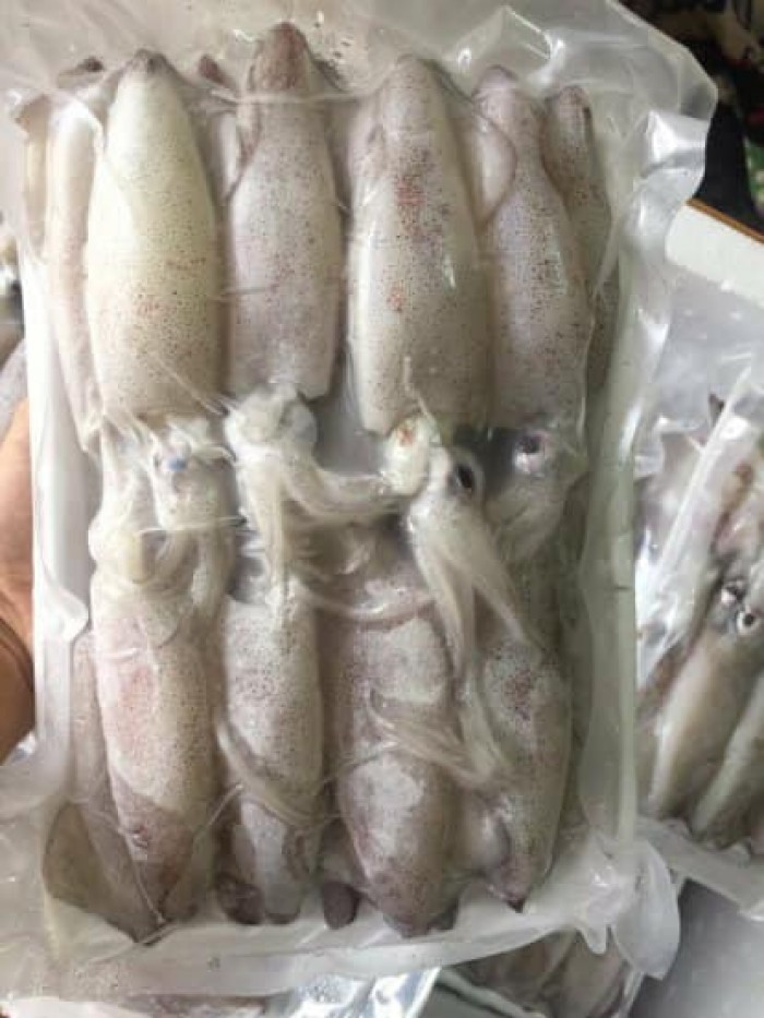 Hải sản Nha Trang (Mực sữa, lườn cá ngừ, mắt cá, chả cá,.....)16