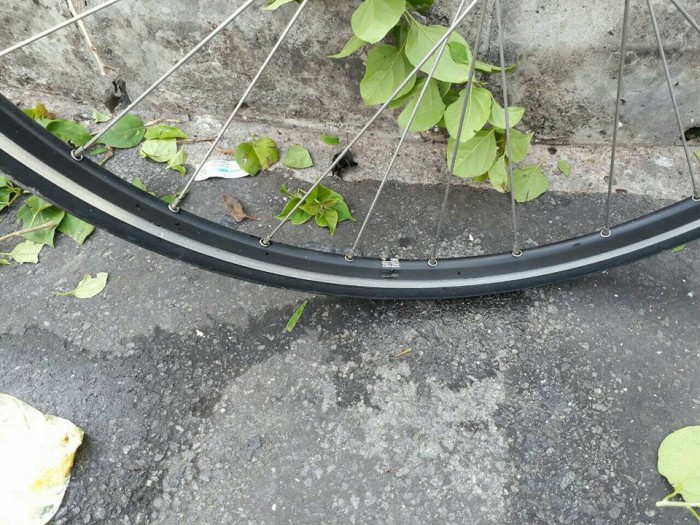 Roadbike WISSCO, nhập khẩu