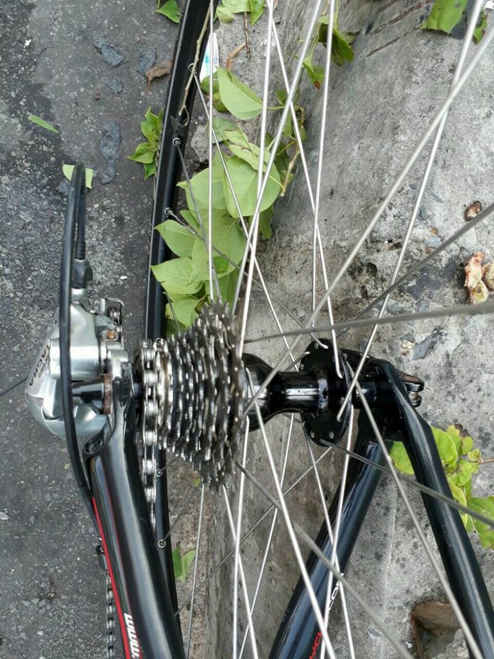 Roadbike WISSCO, nhập khẩu