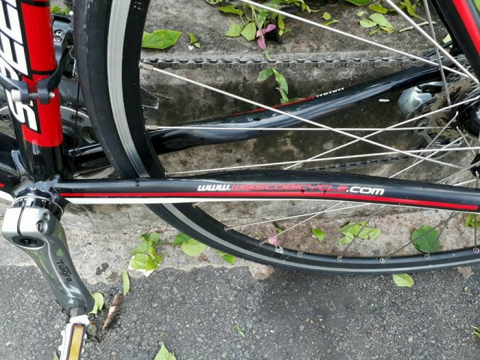 Roadbike WISSCO, nhập khẩu