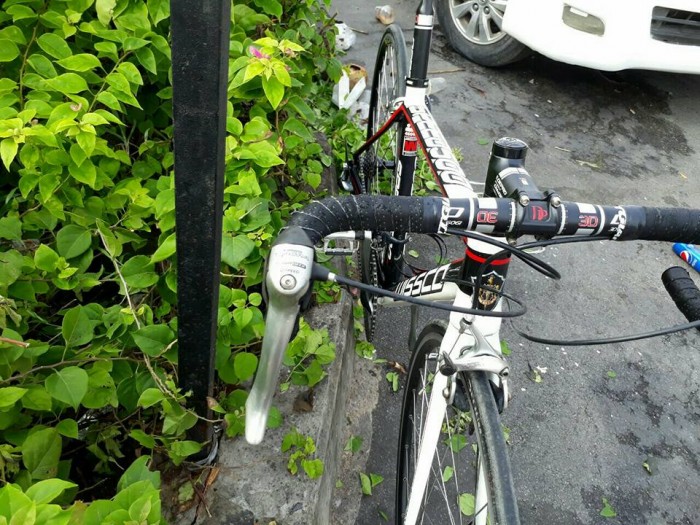 Roadbike WISSCO, nhập khẩu