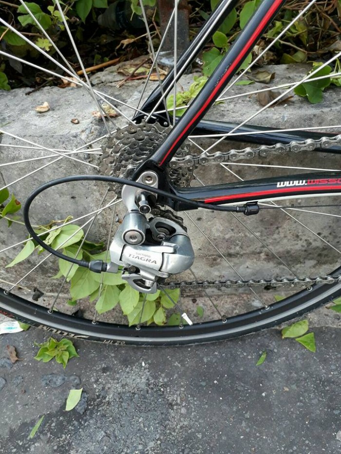 Roadbike WISSCO, nhập khẩu