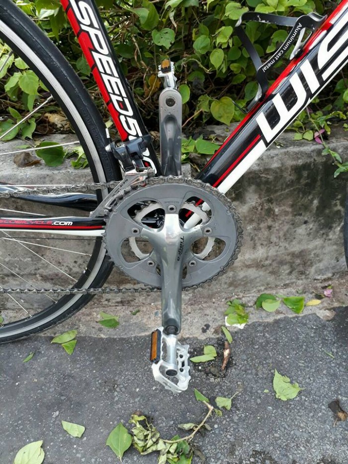 Roadbike WISSCO, nhập khẩu