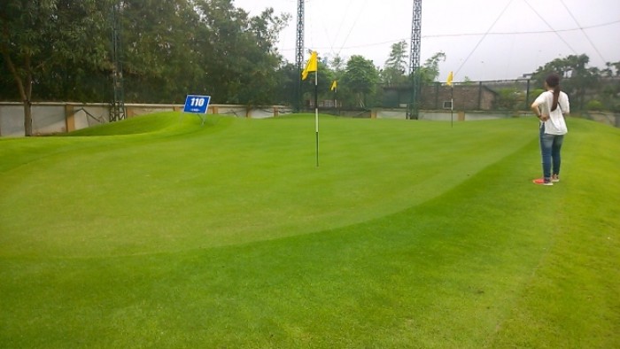 Thảm Cỏ golf nhân tạo trải sàn, cỏ sân chơi trẻ em3