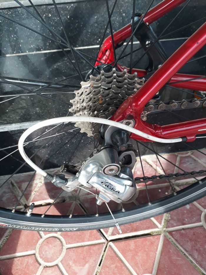 Roadbike SPECIALIZED dolce sport usa. Nhập khẩu
