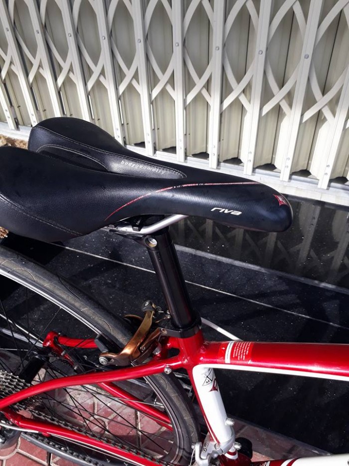 Roadbike SPECIALIZED dolce sport usa. Nhập khẩu