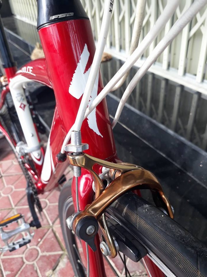 Roadbike SPECIALIZED dolce sport usa. Nhập khẩu