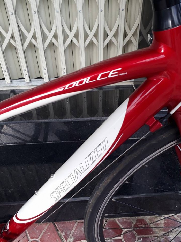Roadbike SPECIALIZED dolce sport usa. Nhập khẩu