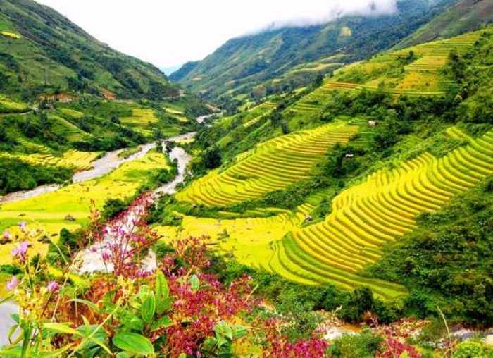 Sapa - Hạ Long - Ninh Bình