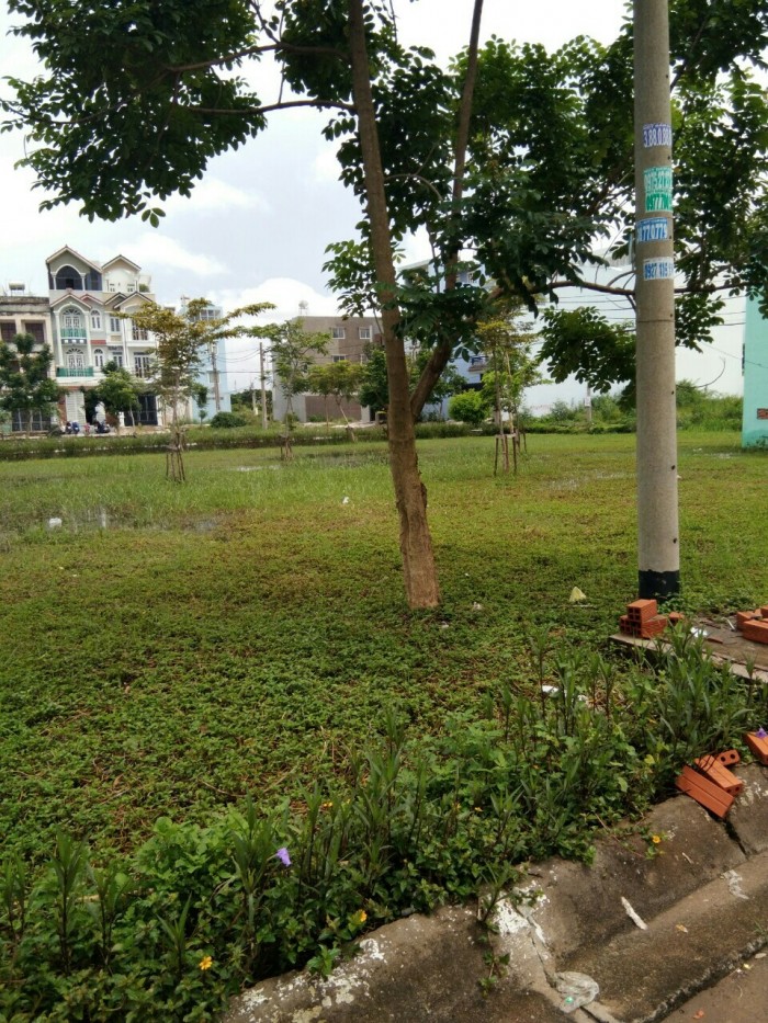 Đất nền dự án 100m2 mặt tiền đường Nguyễn Hữu Cảnh
