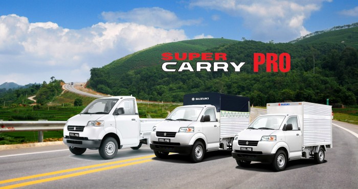 Suzuki carry pro