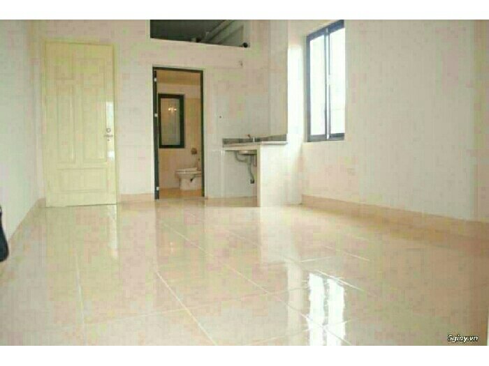 Cho thuê căn hộ mini mới,có nội thất