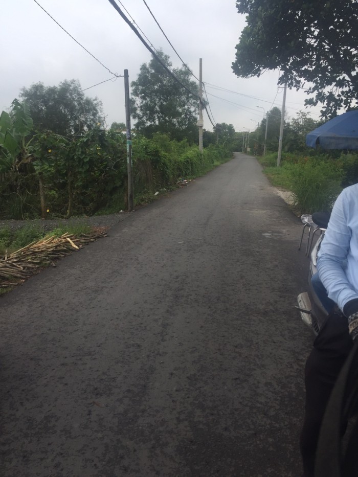 3000 m2 đường ô tô Võ Văn Thu, hưng long, bình chánh.
