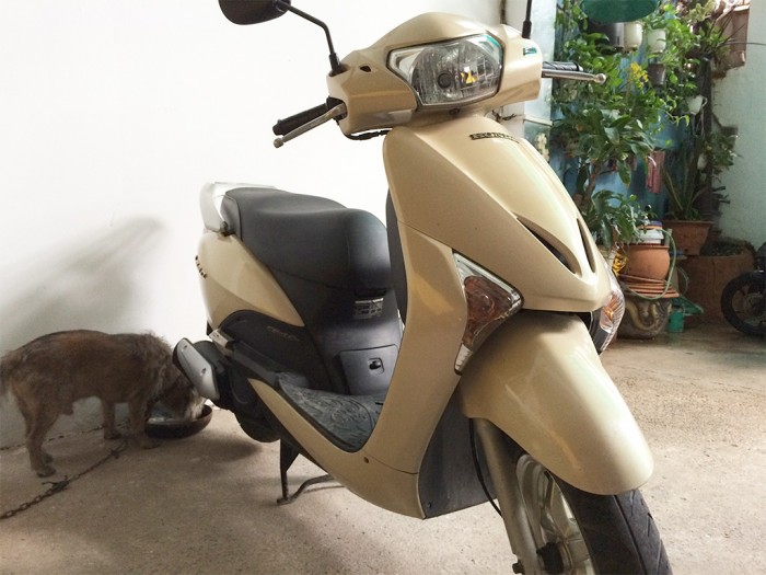 Cần bán Xe Honda Lead FI vàng hồng 2011