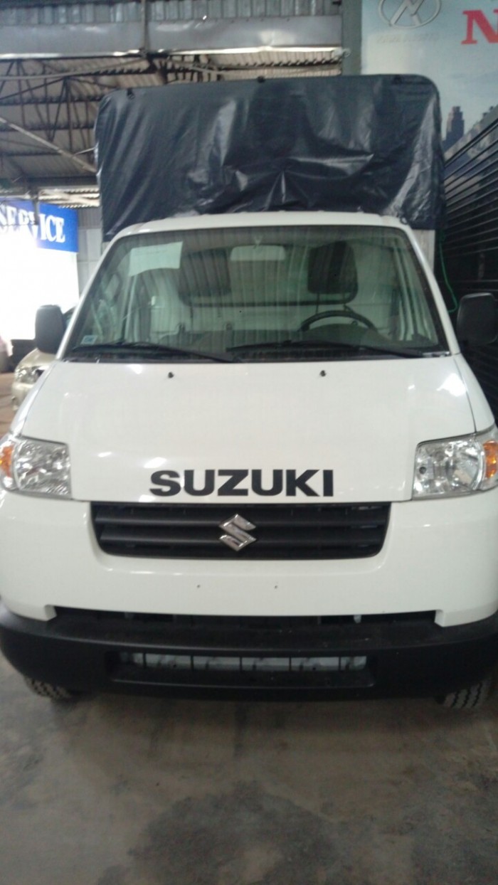 Suzuki Cary Pro