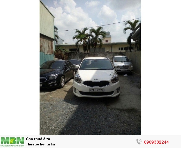 Thuê xe hơi tự lái