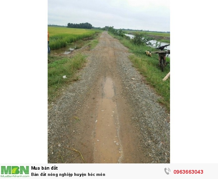 Bán đất nông nghiệp huyện hóc môn