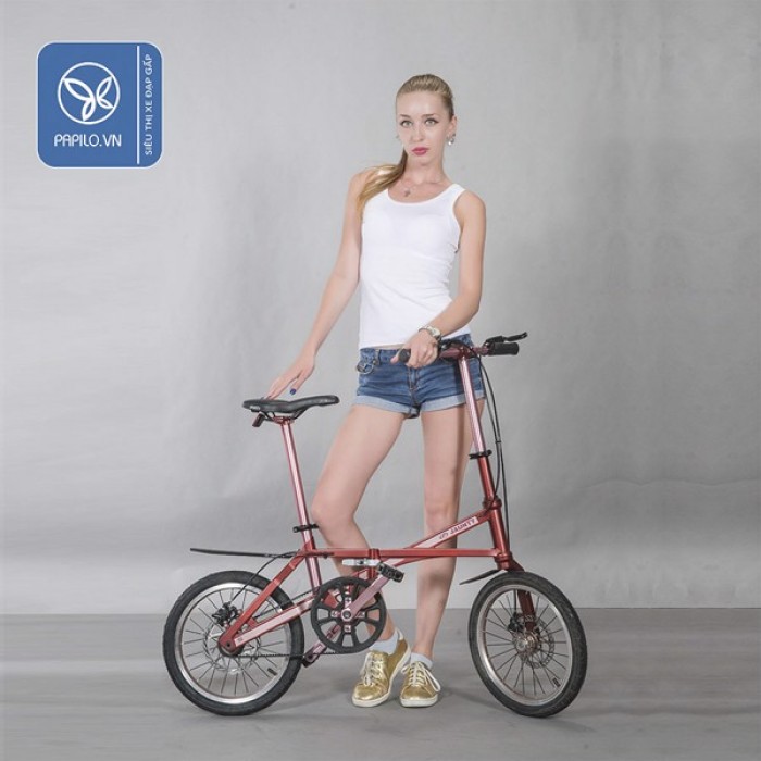 Xe đạp gấp Carbon Jaunty