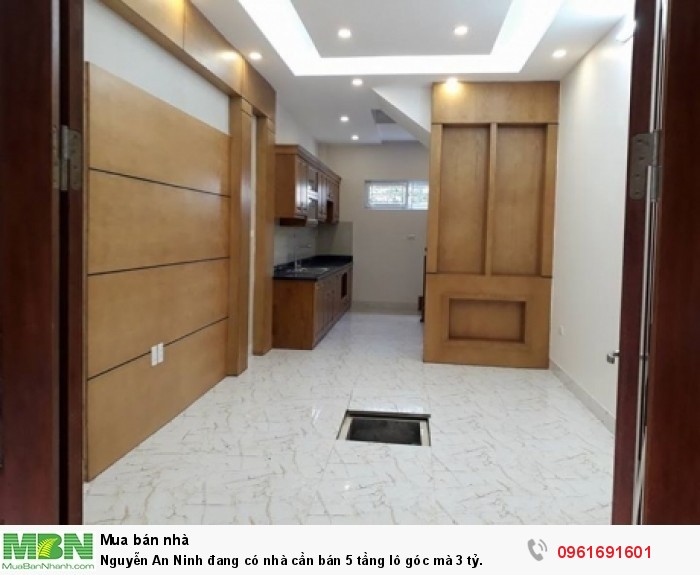 Nguyễn An Ninh đang có nhà cần bán 5 tầng lô góc