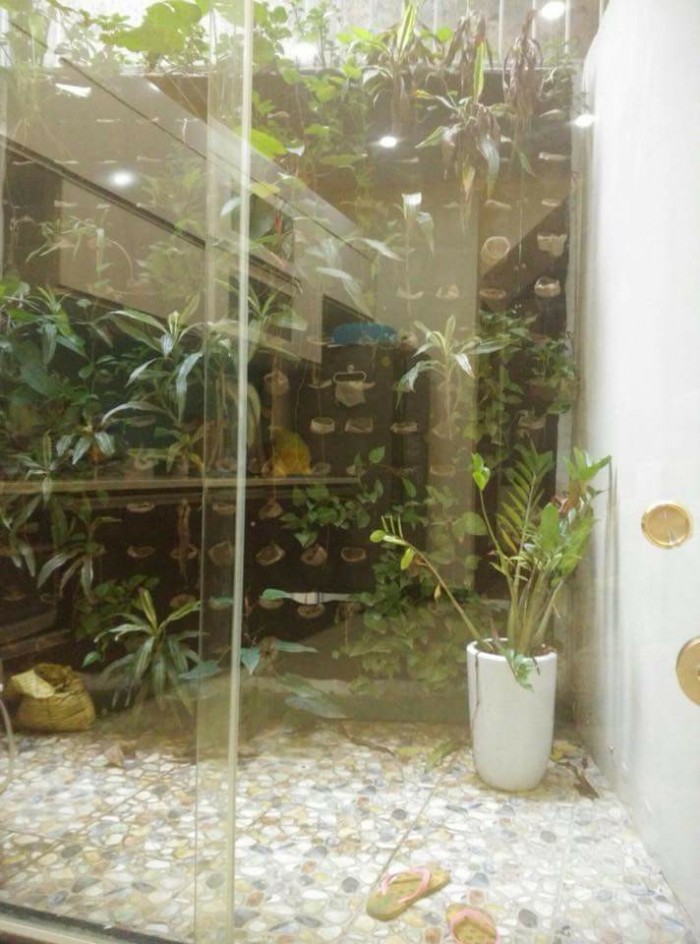Kim Mã …Biệt thự mini 4 mặt thoáng ngõ rộng, 60m2 x 5 tầng.