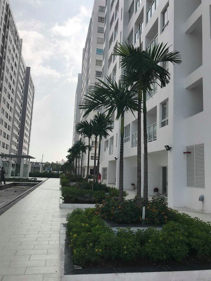 Chung cư 4S Riverside Linh Đông, đường số 30, P. Linh Đông, Thủ Đức