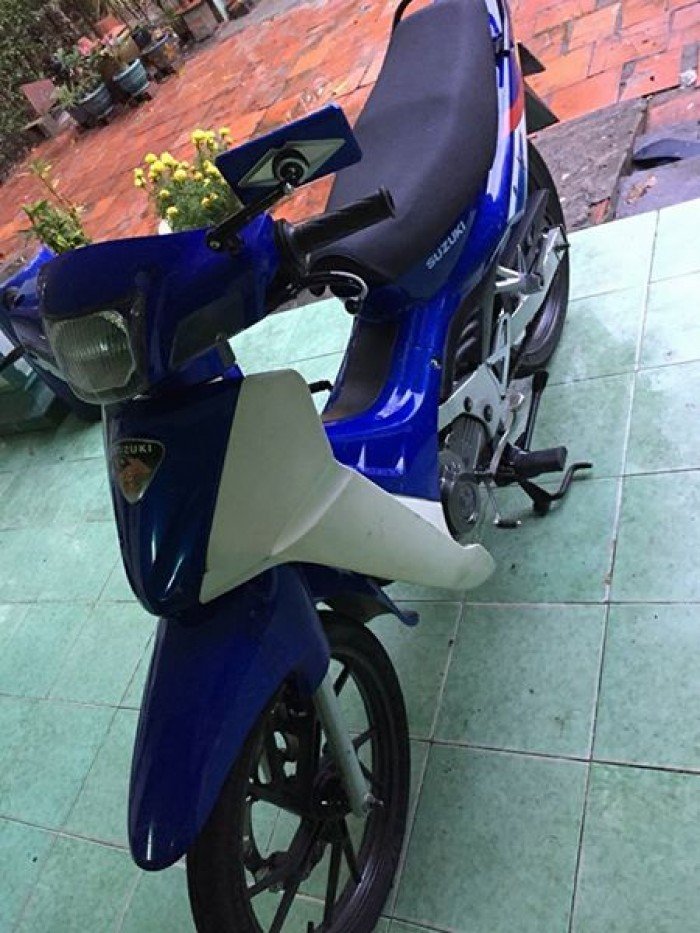 bán xipo xanh