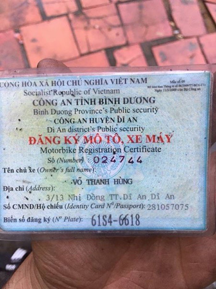 bán xipo xanh