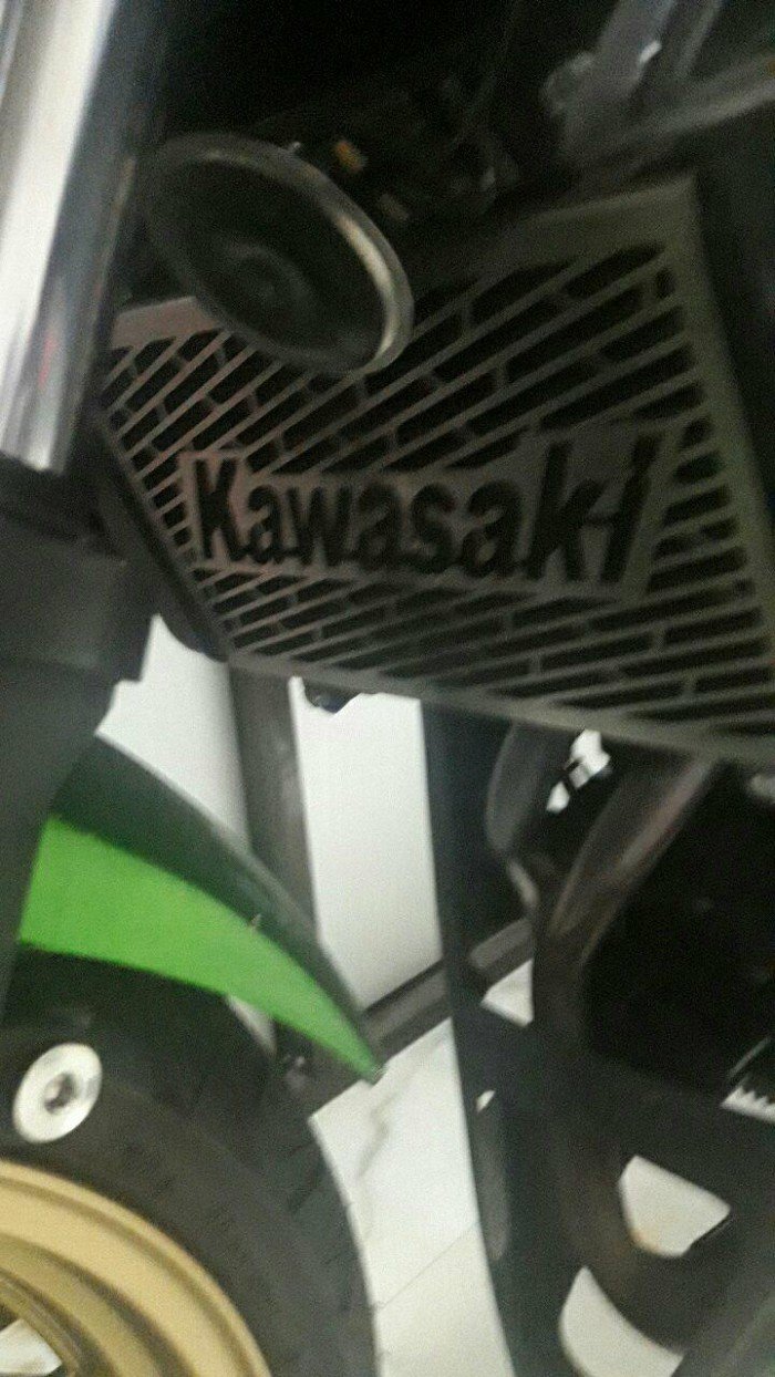 Kawasaki Z300 2017