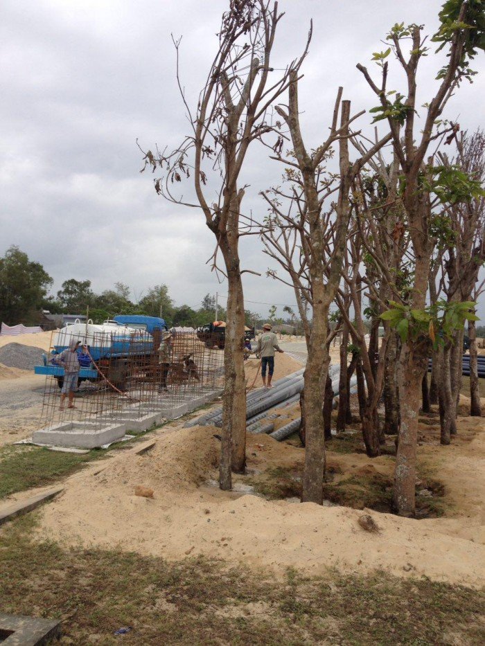 Cần bán gấp đất dự án RIVERSIDE