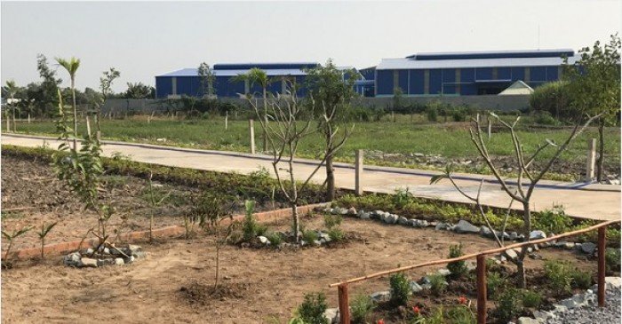 Bán Gấp 2 Lô Đất 500m2 Shr,Mặt Tiền Đường Nhựa 18m
