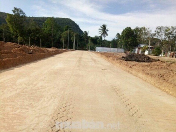 Bán đất Ba Trại 500m2, giá rẻ hơn thị trường