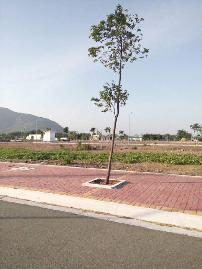 Bán lô đất 90.5m2 đường Nguyễn Cư Trinh Bà Rịa