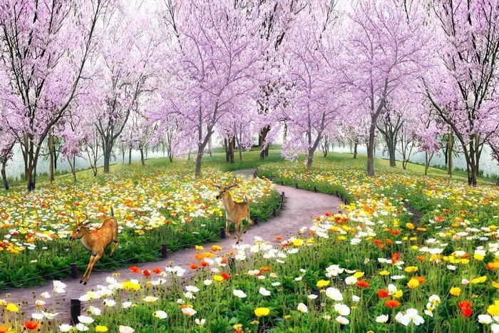 Tranh 3d vườn hoa phong cảnh - Hãy chiêm ngưỡng một vườn hoa phong cảnh sống động và tràn đầy màu sắc nhất với tranh 3D vườn hoa phong cảnh. Tranh sẽ đưa bạn tới một thế giới hoa cảnh tuyệt đẹp, đầy sức sống và không gian sống tốt cho sức khỏe.