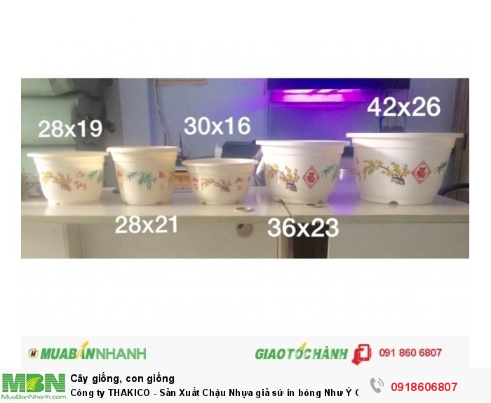 Chậu hoa nhựa Thakico Sản Xuất Chậu Nhựa giả sứ in bông Như Ý Cát Tường