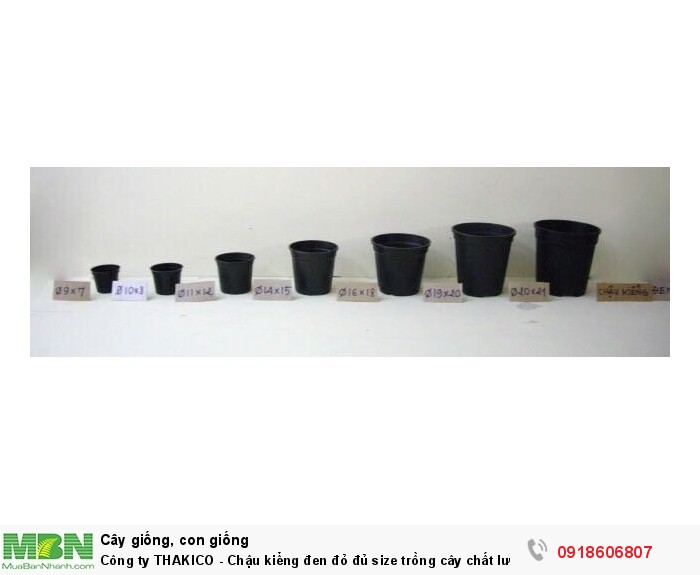 Công ty THAKICO - Chậu kiểng đen đỏ đủ size trồng cây chất lượng ,giá rẻ