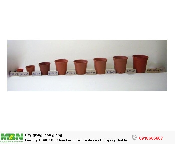 Công ty THAKICO - Chậu kiểng đen đỏ đủ size trồng cây chất lượng ,giá rẻ