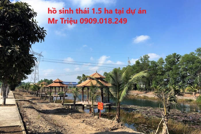 Bán đất KDC An Hạ Lotus, Phạm Văn Hai, Bình Chánh, SHR, XDTD