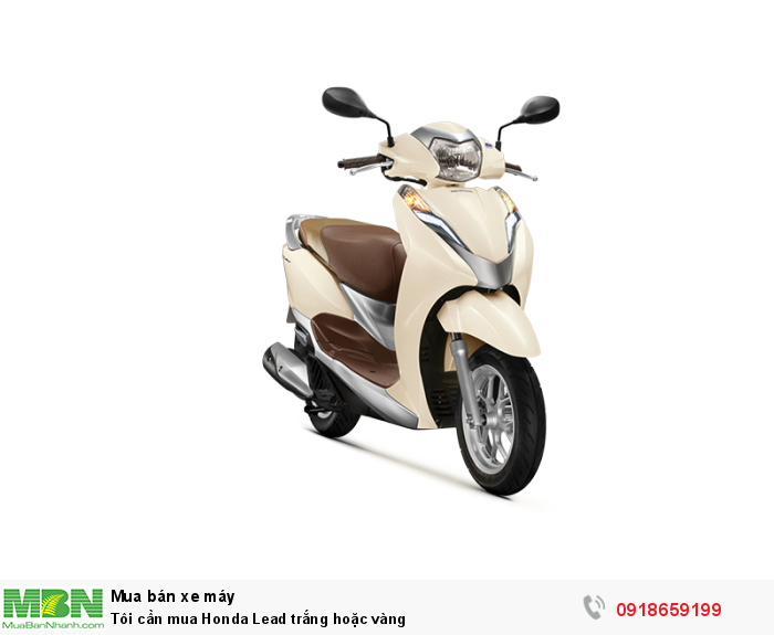 Tôi cần mua Honda Lead trắng hoặc vàng