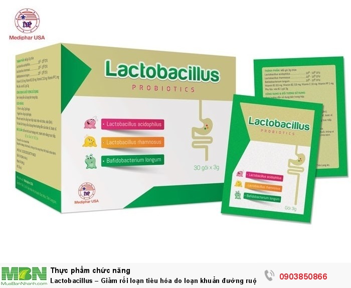 Lactobacillus – Giảm rối loạn tiêu hóa do loạn khuẩn đường ruột0