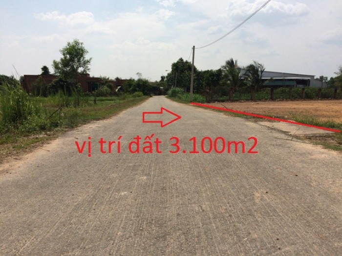 Đất thổ cư mặt tiền đường nhựa xã Thái Mỹ Củ Chi 3.100m2