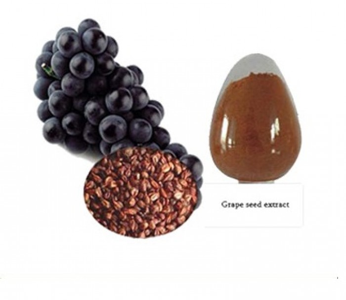 Grape Seed Extract - Chiết xuất hạt nho0