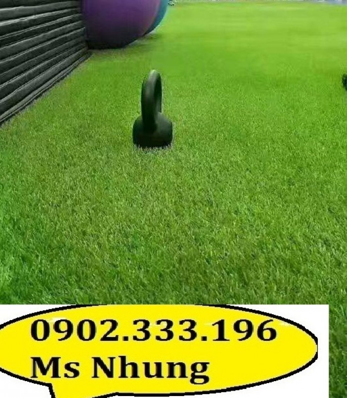 Chuyên cung cấp thảm cỏ, cỏ nhân tạo giá rẻ5