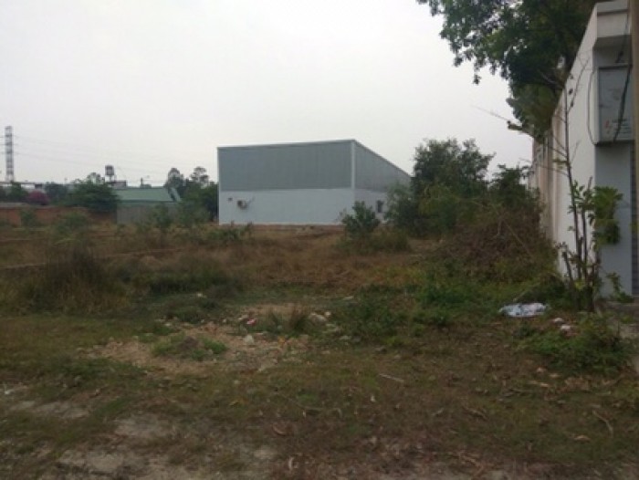 Bán đất gần Khu công nghiệp 550m2 đường Nguyễn Thị Lăng,Phước Vĩnh An. Giá rẻ nhất.