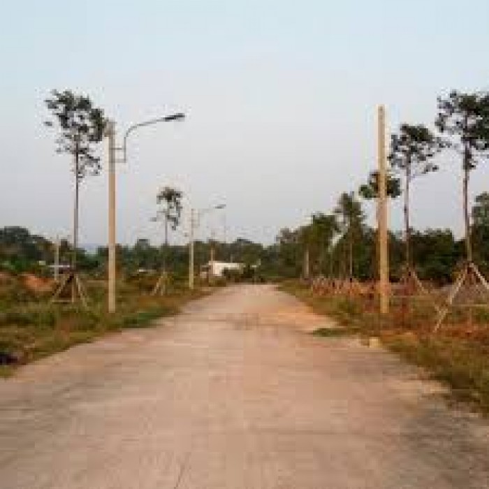 Cần bán 26 lô mặt tiền cây thông  ngoài - Phú Quốc. chiết khấu 10%