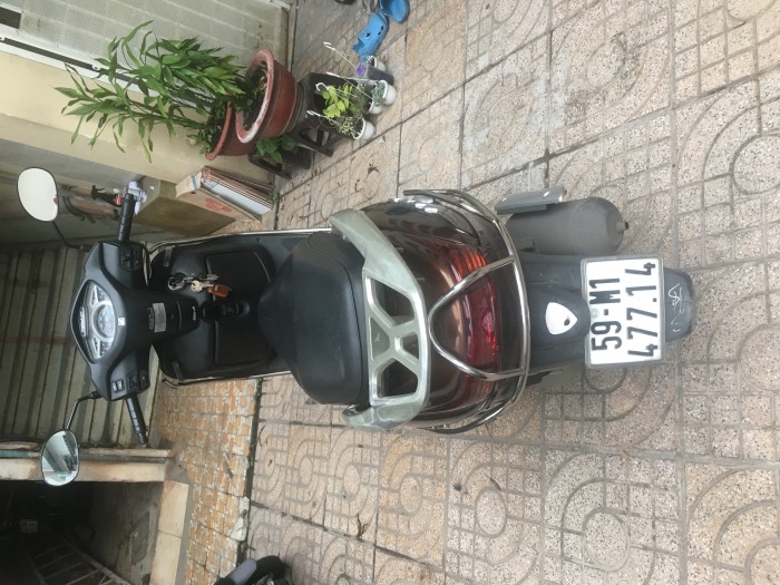 Xe Lead nâu