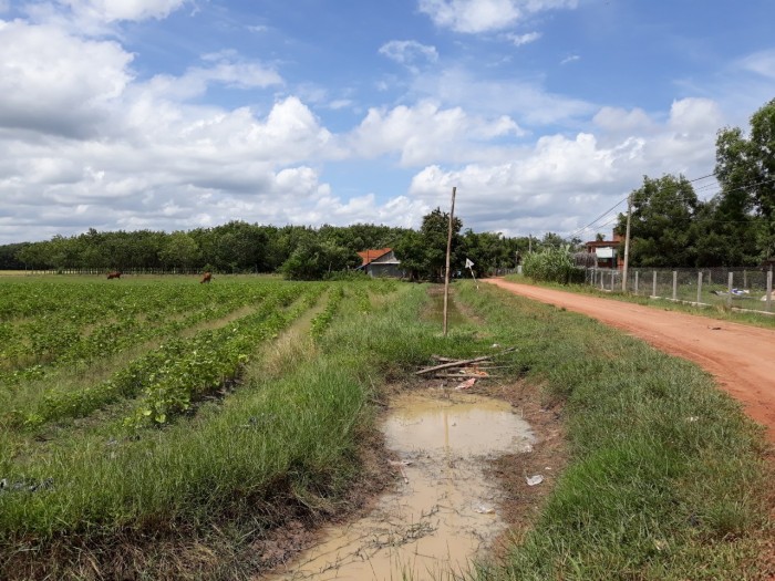 Đất cách quốc lộ 19 150m, cách ngã 4 400m,  đường thông